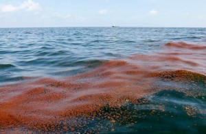 Shell oil spill in Gulf May 2016 (Rick Wilking:Reuters) May 23 2016