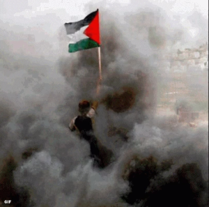 Free Palestine flag in tear gas (July 30 2017