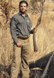 Donald Trump Jr with elephant tail 2012