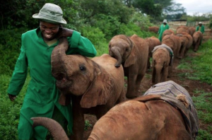 Sheldrick elephant orphanage in Kenya (Michael Nichols:National Geographic) Nov 17 2017