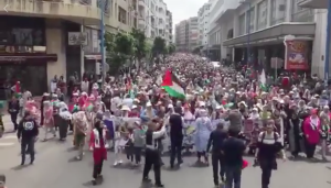 Casablanca, Morocco stands with Palestine May 22 2018