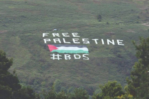 BDS solidarity from Ireland Sept 13 2018